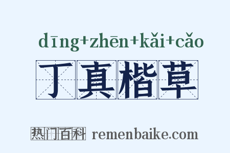 丁真楷草是什么意思的图片